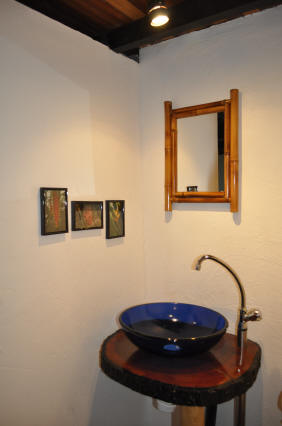 Forest apartment shower