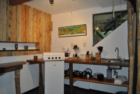 Jungle Floor kitchenette