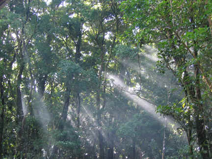 business oportunity in Monteverde Costa Rica